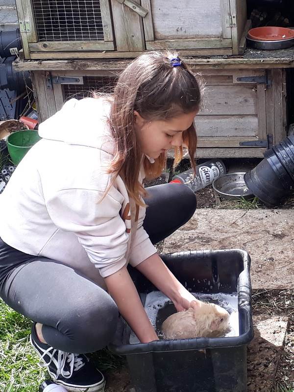 the petting zoo and stand on Twickenham Green raising money to feed children in the slums of Nairobi