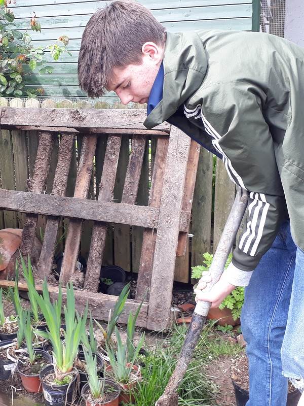 a petting zoo where children can meet rabbits, chickens and guinea pigs at Orleans school in Twickenham