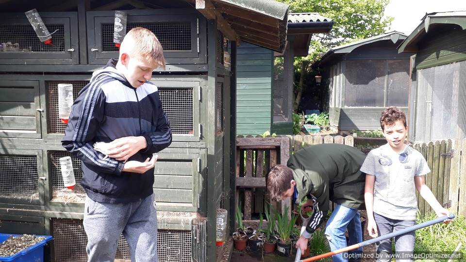guinea pigs, hedgehogs, mini-lop rabbits, and Pekin Bantam chickens meet children who want to pet them