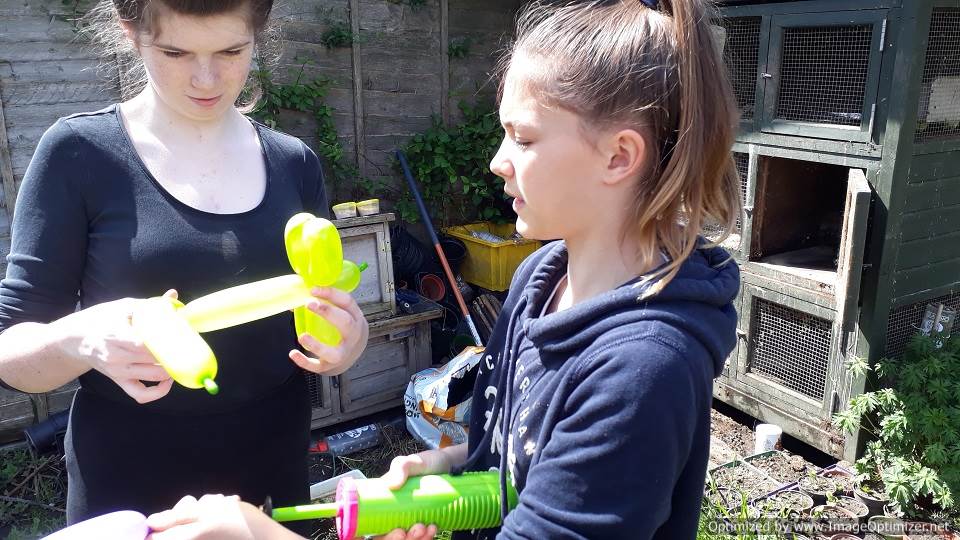 the petting zoo and balloon modelling by volunteers raising money for Porridge and Rice on Hampton Hill 
      high street