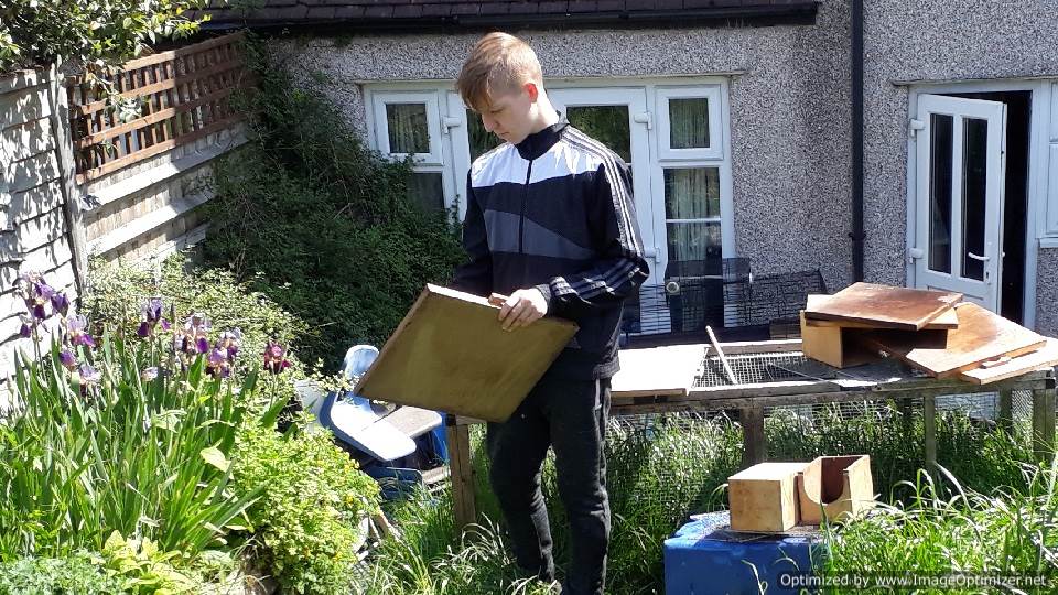 the petting zoo at Trafalgar School Fair to raise money for the charity work in the Nairob slums