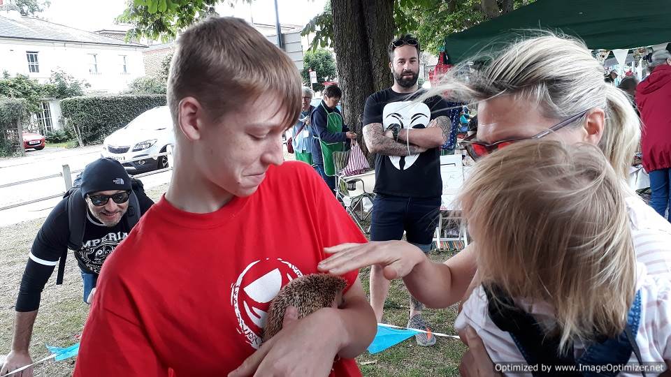 Pekin chicken bantams, mini-lop rabbits, and guinea pigs for the children of Nelson school to pet