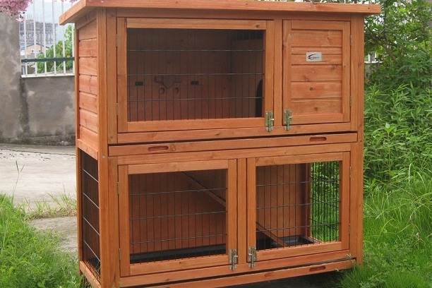 Cage and Toys for African Pygmy Hedgehogs