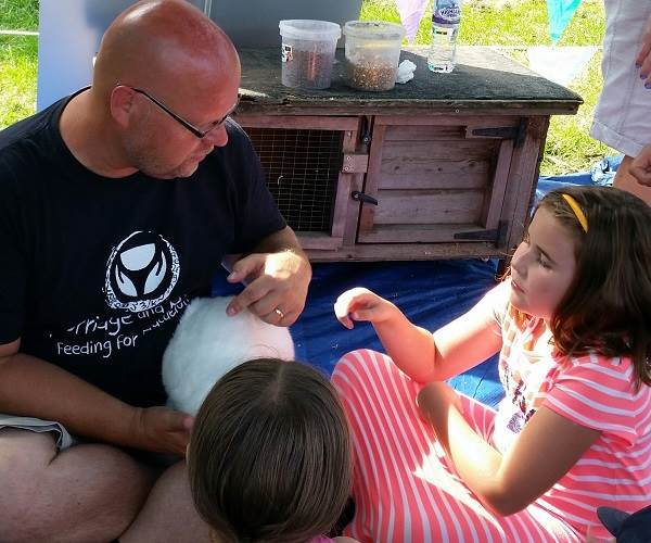 the Farm at 64 petting zoo at the Redlees Park Fair in Isleworth with guinea pigs, chickens and rabbits
